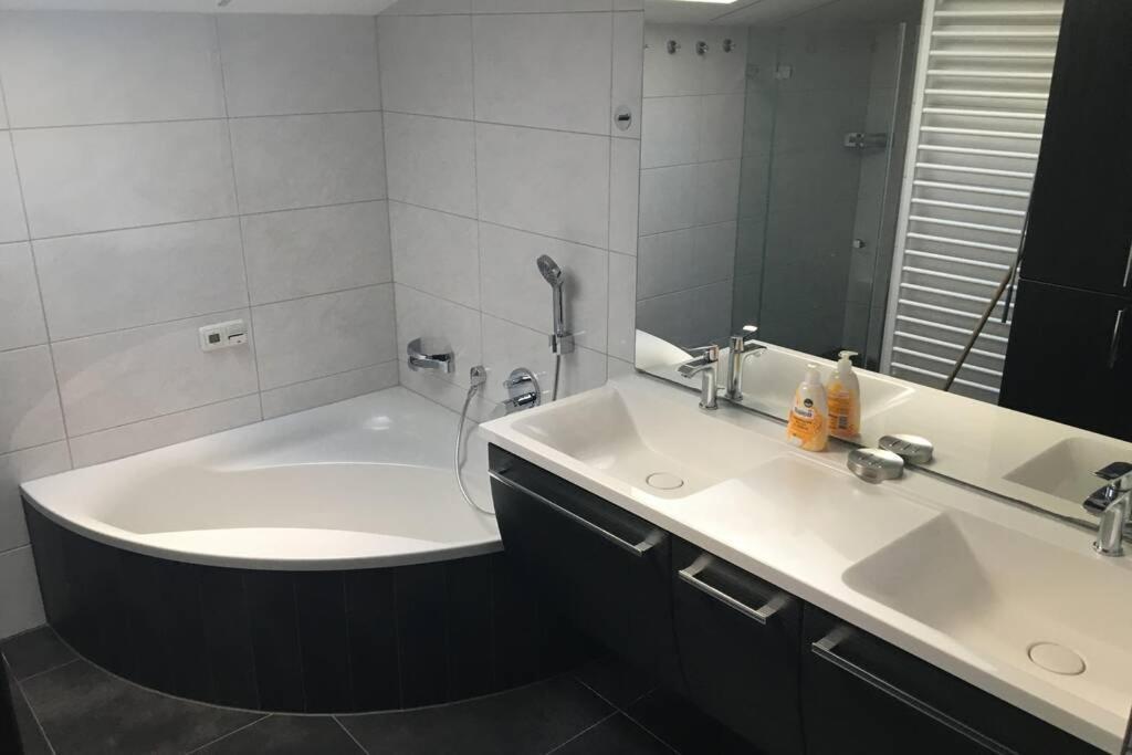 Ferienwohnung Appartement Am Schilf Xl Zell am See Exteriör bild