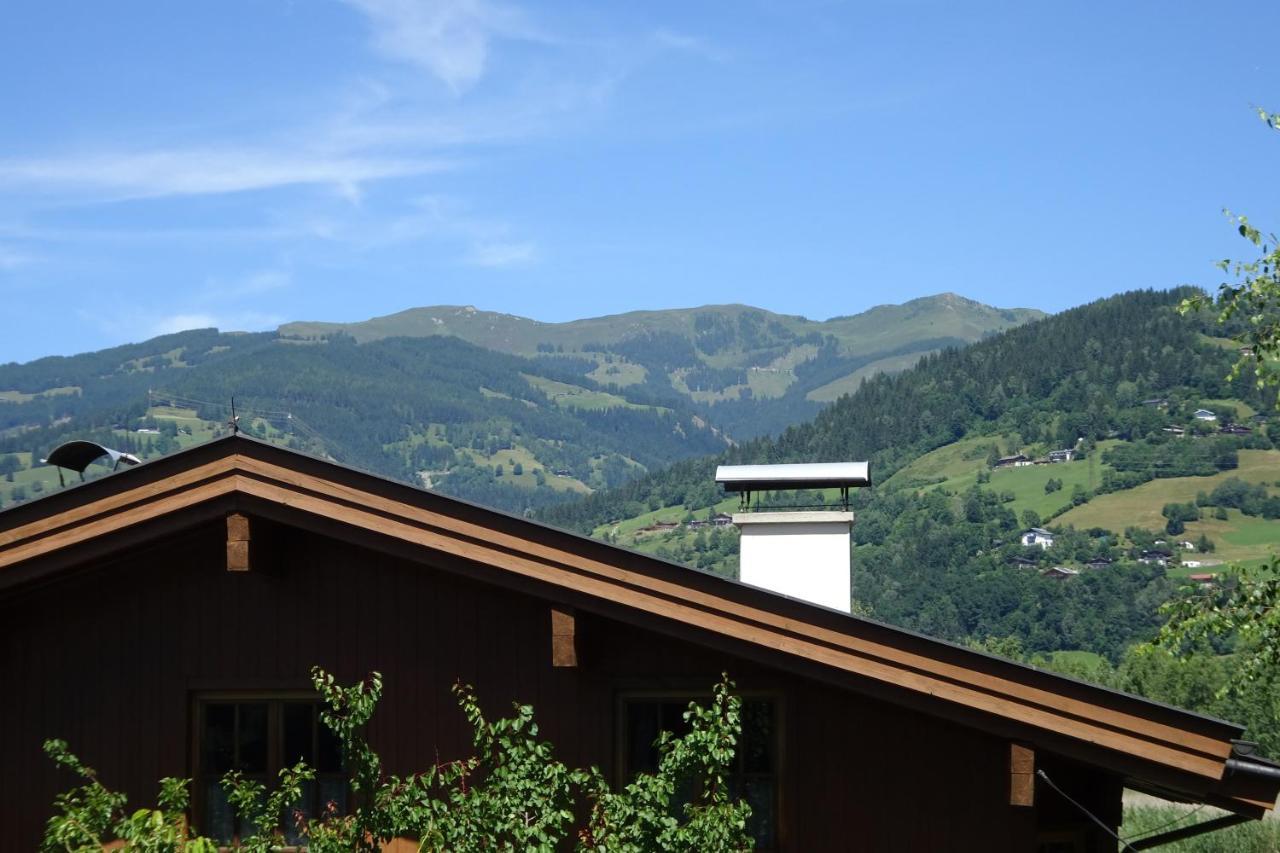 Ferienwohnung Appartement Am Schilf Xl Zell am See Exteriör bild
